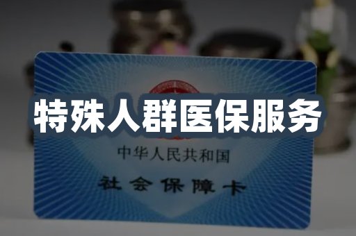 特殊人群医保服务