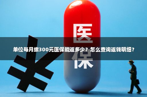 单位每月缴300元医保能返多少？怎么查询返钱明细？